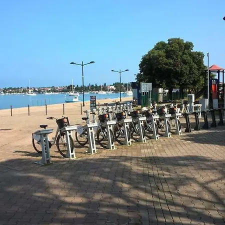 App Veselica Lejlighed *